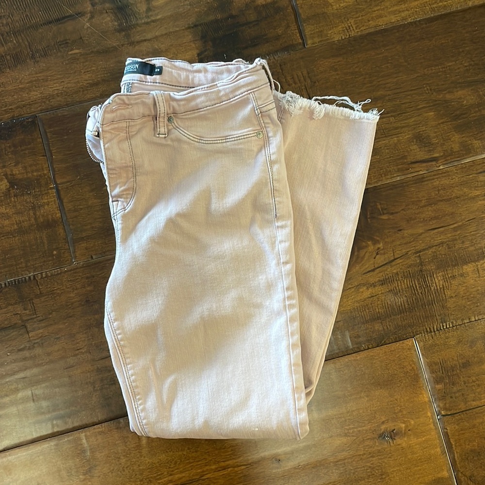 Hudson Tally Straight Skinny. Size 29. Great condition.